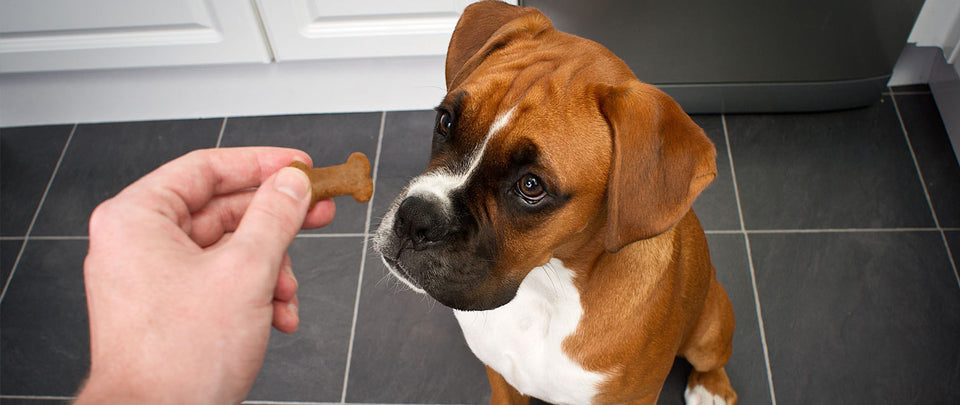 How to Choose Top-Quality and Safe Dog Treats for Your Furry Friend