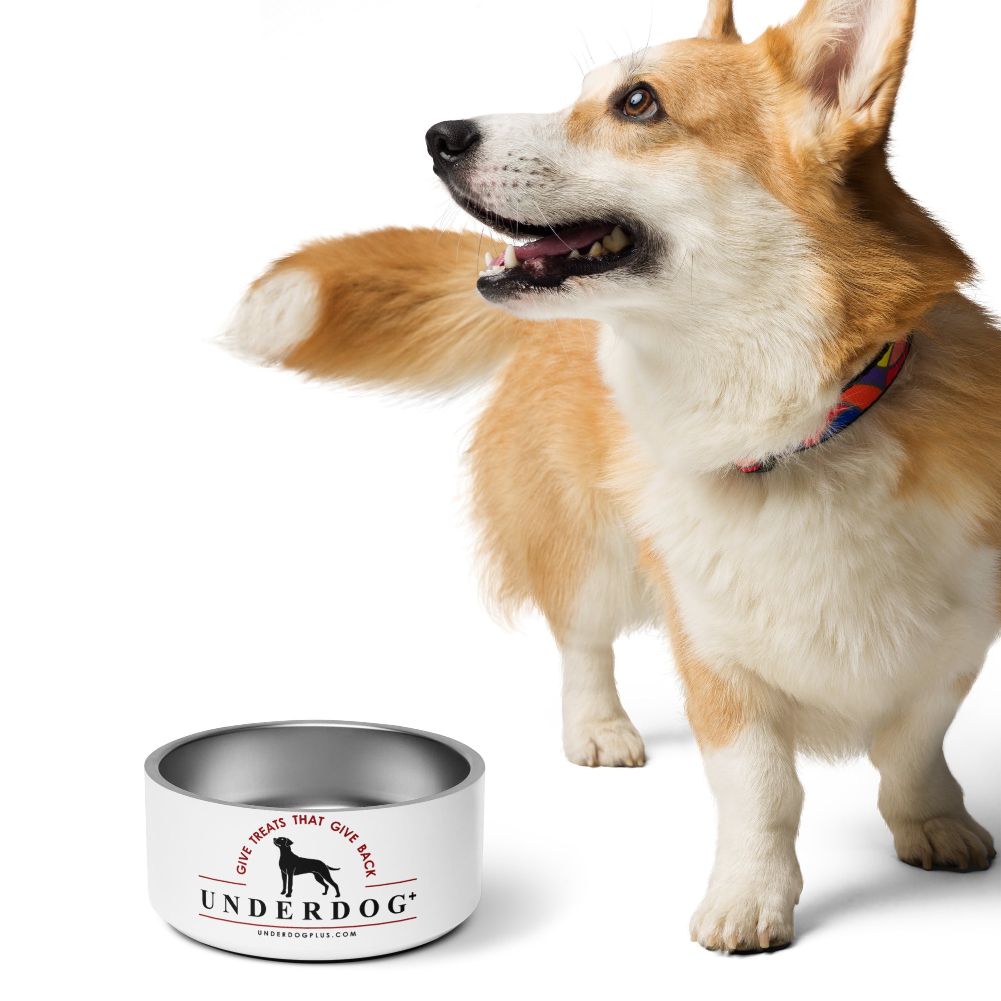 Underdog Classic Pet bowl